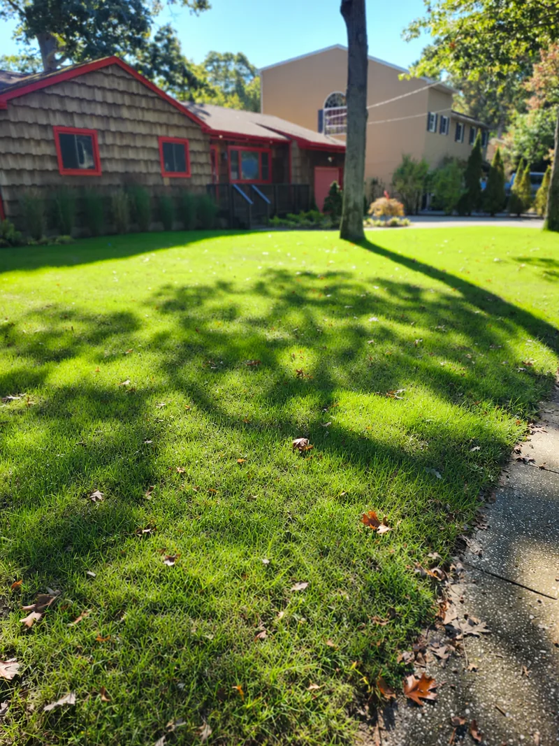 Retouched view of the hydroseeded lawn beside a timber building.