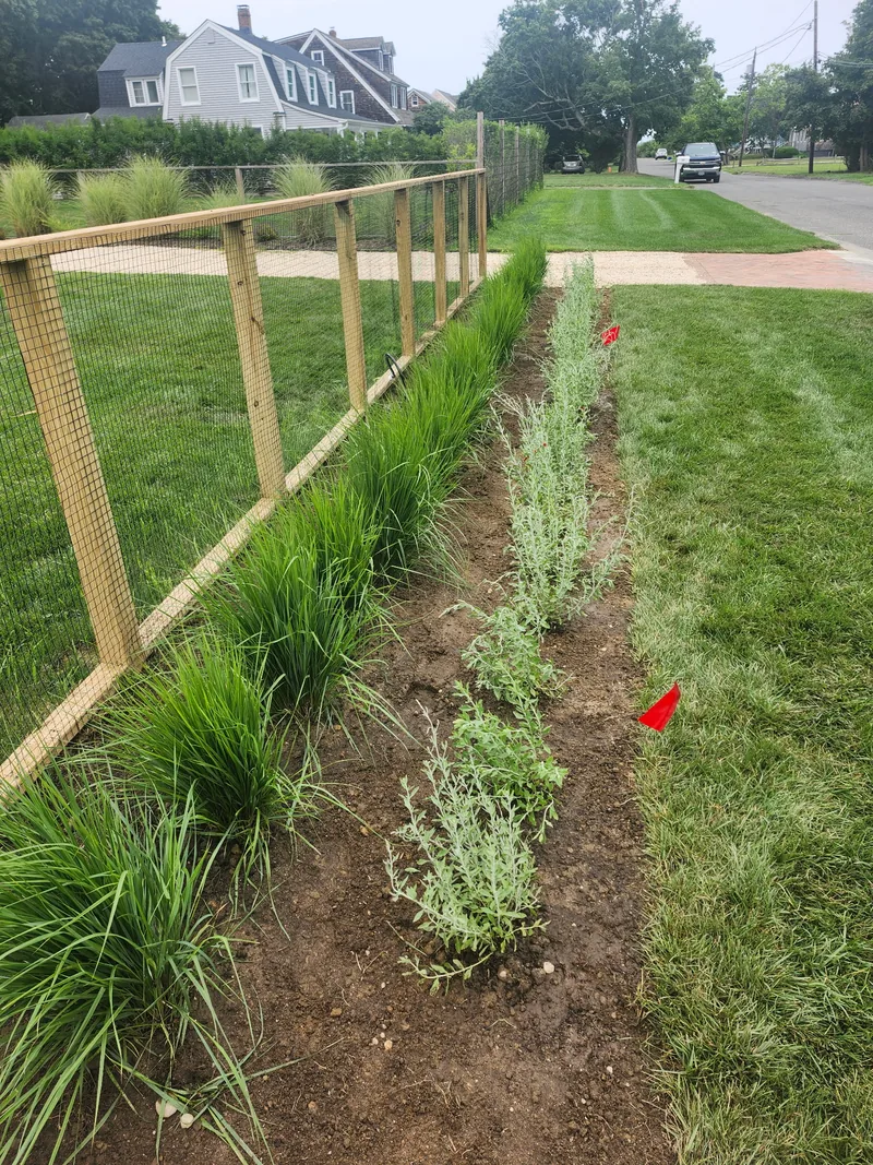 Another view of the completed lawn and planting bed beside the fence.